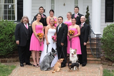 Your Paw-fect Wedding