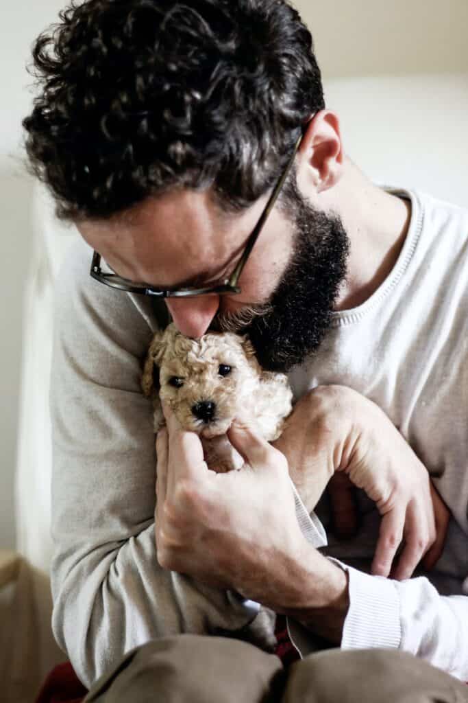  Bearded man snuggling a white puppy, dogs love their owners