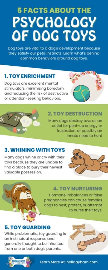 5 facts about the psychology of dog toys. Learn why dog toys are vital to a pup's development because they satisfy their instincts. 