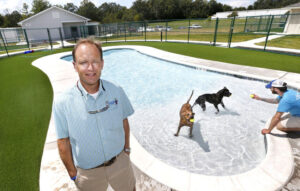 man in front of pool with dogs