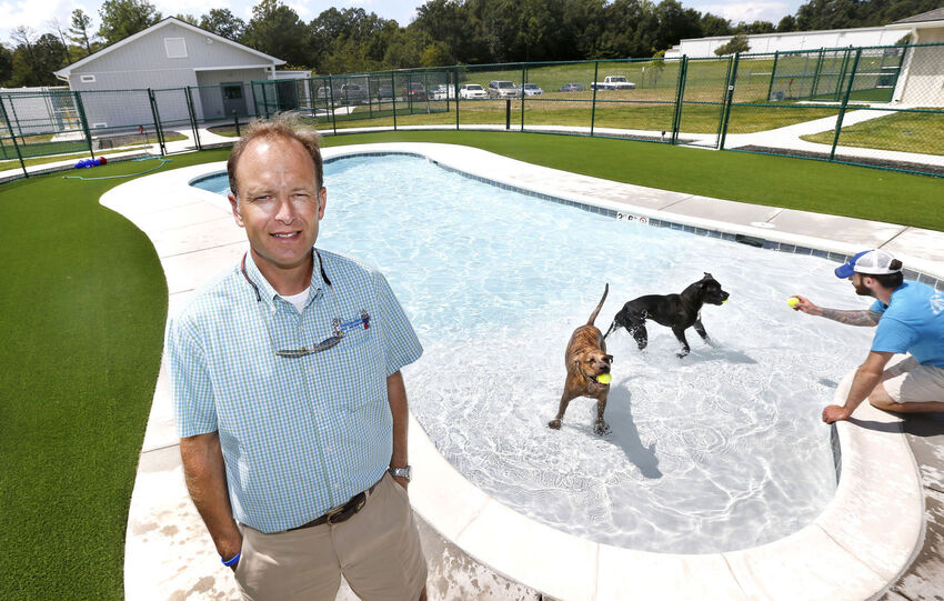 The History of Holiday Barn Pet Resorts Holiday Barn Pet Resorts